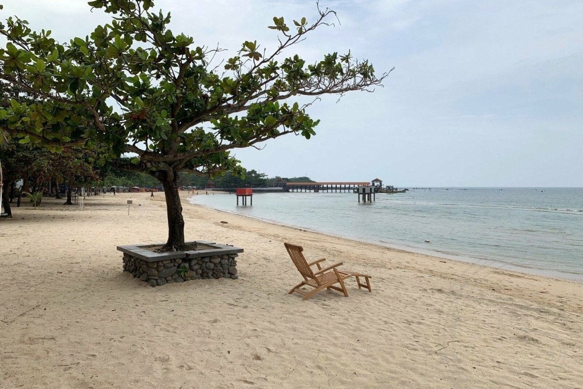 Teakholz Deckchair