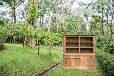 Teak Vitrinenschrank 200cm