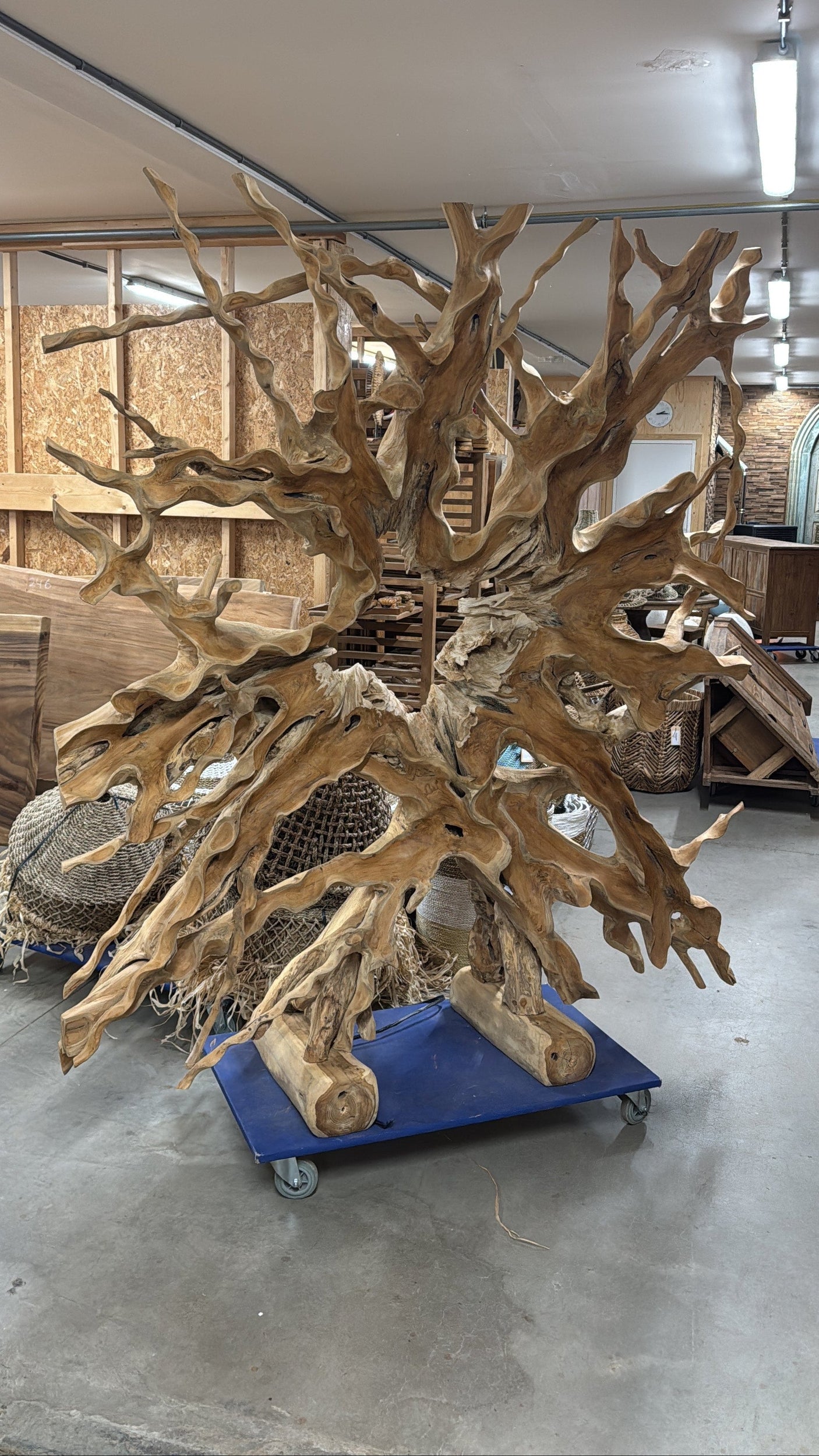 Teakwurzel Raumteiler 180×200 cm – Einzigartig