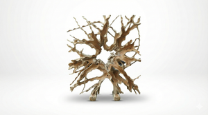 Teakwurzel Raumteiler 180×200 cm – Einzigartig